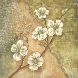 Burlap Dogwood Blossom-Tina Chaden-Art Print