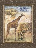 On Safari II-Tina Chaden-Framed Art Print