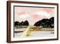 Brown Frame