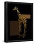 Essential Black