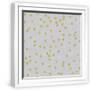 White Frame