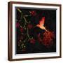 Brown Frame