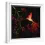 White Frame