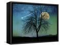 Canvas Black