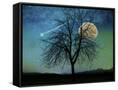 Canvas Black