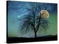 Stretched Canvas