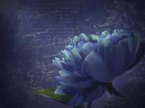 Periwinkle-Tina Lavoie-Giclee Print