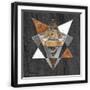 Black Frame