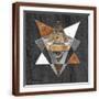 Brown Frame