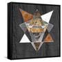 Canvas Black