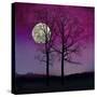 Stretched Canvas