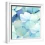 White Frame