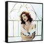 Tina Louise-null-Framed Stretched Canvas