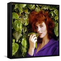 Tina Louise-null-Framed Stretched Canvas