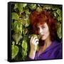 Tina Louise-null-Framed Stretched Canvas