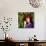 Tina Louise-null-Photo displayed on a wall