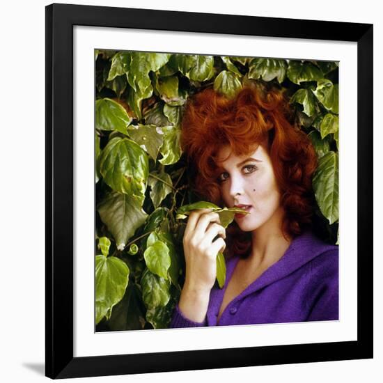 Tina Louise-null-Framed Photo