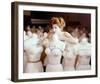 Tina Louise-null-Framed Photo