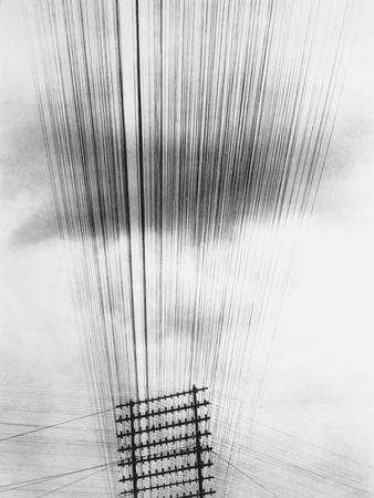 Telephone Wires, Mexico, 1925