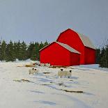 Sheep in the Snow-Tina Palmer-Stretched Canvas