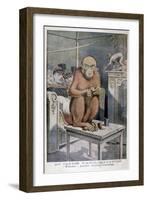 Tinan the Orangutan, 1896-Henri Meyer-Framed Giclee Print