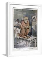 Tinan the Orangutan, 1896-Henri Meyer-Framed Giclee Print