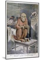 Tinan the Orangutan, 1896-Henri Meyer-Mounted Giclee Print