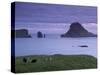 Tindholmur Island Rising to 262 M, and Drangarnir Natural Arch at Sunset, with Sheep, from Vagar-Patrick Dieudonne-Stretched Canvas