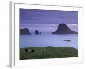 Tindholmur Island Rising to 262 M, and Drangarnir Natural Arch at Sunset, with Sheep, from Vagar-Patrick Dieudonne-Framed Photographic Print