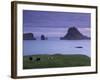 Tindholmur Island Rising to 262 M, and Drangarnir Natural Arch at Sunset, with Sheep, from Vagar-Patrick Dieudonne-Framed Photographic Print