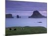 Tindholmur Island Rising to 262 M, and Drangarnir Natural Arch at Sunset, with Sheep, from Vagar-Patrick Dieudonne-Mounted Photographic Print