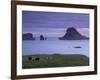 Tindholmur Island Rising to 262 M, and Drangarnir Natural Arch at Sunset, with Sheep, from Vagar-Patrick Dieudonne-Framed Photographic Print