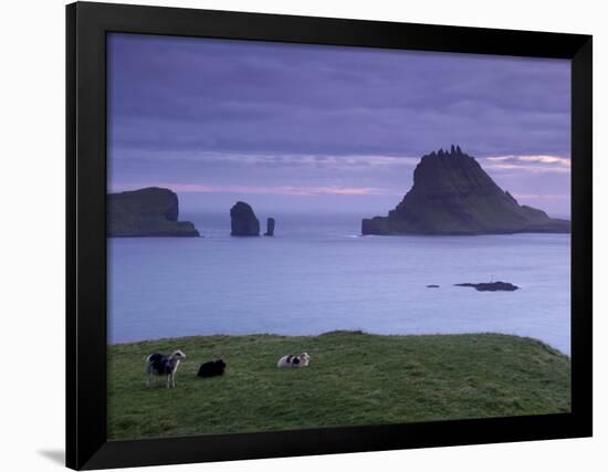 Tindholmur Island Rising to 262 M, and Drangarnir Natural Arch at Sunset, with Sheep, from Vagar-Patrick Dieudonne-Framed Photographic Print