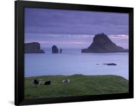 Tindholmur Island Rising to 262 M, and Drangarnir Natural Arch at Sunset, with Sheep, from Vagar-Patrick Dieudonne-Framed Photographic Print