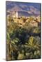 Tinerhir Kasbahs and Palmery, Tinghir, Todra Valley, Morocco, North Africa, Africa-Doug Pearson-Mounted Photographic Print