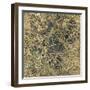 Tinge of Gold I-Edward Selkirk-Framed Art Print