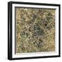 Tinge of Gold I-Edward Selkirk-Framed Art Print