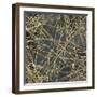 Tinge of Gold III-Edward Selkirk-Framed Art Print