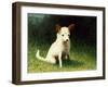 Tinge-Kevin Dodds-Framed Giclee Print