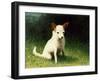 Tinge-Kevin Dodds-Framed Giclee Print