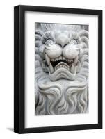 Tinh Xa Ngoc Chau Buddhist temple, Imperial guardian lion statue, Chau Doc-Godong-Framed Photographic Print