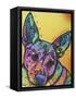 Tink-Dean Russo-Framed Stretched Canvas