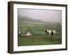 Tinker Horse Near Allihies, Beara Peninsula, County Cork, Munster, Republic of Ireland (Eire)-Patrick Dieudonne-Framed Photographic Print