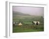 Tinker Horse Near Allihies, Beara Peninsula, County Cork, Munster, Republic of Ireland (Eire)-Patrick Dieudonne-Framed Photographic Print