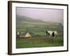 Tinker Horse Near Allihies, Beara Peninsula, County Cork, Munster, Republic of Ireland (Eire)-Patrick Dieudonne-Framed Photographic Print