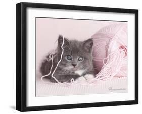 Tinker-Rachael Hale-Framed Premium Photographic Print