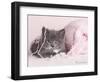 Tinker-Rachael Hale-Framed Photographic Print