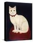 Tinkle, a Cat, 1883-American School-Stretched Canvas