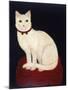 Tinkle, a Cat, 1883-American School-Mounted Giclee Print