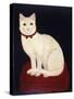 Tinkle, a Cat, 1883-American School-Stretched Canvas